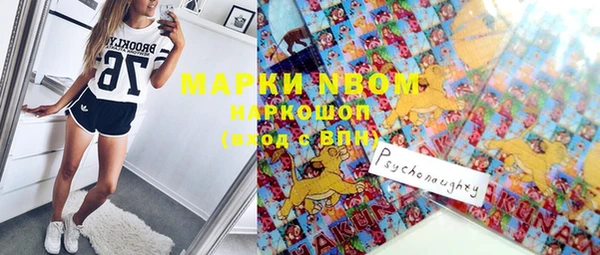 молекула духа Алексин