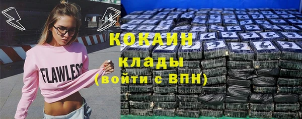 молекула духа Алексин